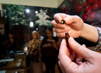 En Córdoba capacitan a cafeticultores de la Sierra para mejorar su calidad de producción