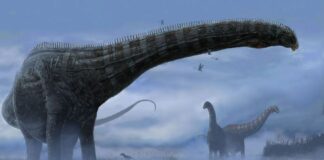 Descubren evidencia del primer dinosaurio con una enfermedad respiratoria