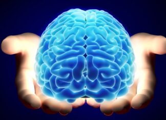 Conoce a los inventores que se arrepintieron de sus creaciones