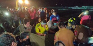 Rescatan delfín en Playas de Coatzacoalcos