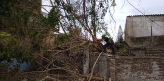 Atiende Protección Civil afectaciones por fuertes vientos en Minatitlán