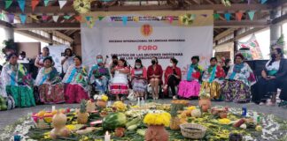 En Cumbre Tajín las mujeres vuelan más alto