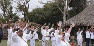 Equinoccio de primavera, el florecer de la humanidad