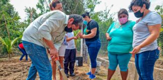 Autoridades de Coatzacoalcos impulsan la cosecha de huertos