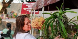 Realizan taller de “Manejo y Conservación de las Orquídeas” en Minatitlán