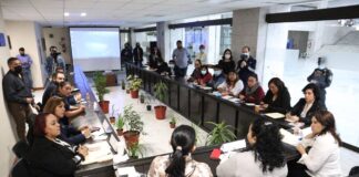 Comisión de Salud, aliada del bienestar y respeto de los derechos de las mujeres: Adriana Esther Martínez