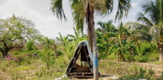 Jefatura de Salud Municipal inspecciona casos de maltrato animal en Minatitlán