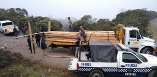 SSP Y CONANP aseguran madera ilegal en el Cofre de Perote