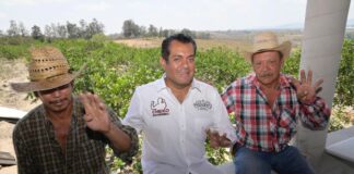 Plan Maestro para el Campo, ruta para que Veracruz alcance autosuficiencia alimentaria: Sergio Gutiérrez Luna