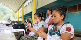 Impulsa SEDESOL autosuficiencia alimentaria y mejora vidas de familias en las Altas Montañas