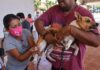 Realizan en Coatzacoalcos jornada de vacunación canina y felina