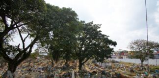 Va Ayuntamiento por Certificación de Espacios Libres del Dengue en panteones de Córdoba