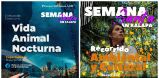 Naturaleza y vida animal nocturna en esta temporada de Semana Santa en Xalapa