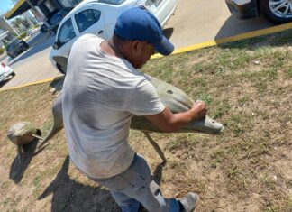Limpian en Coatzacoalcos esculturas vandalizadas