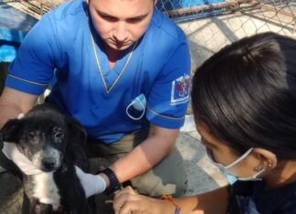 Autoridades de Córdoba reafirman compromiso por el bienestar de los animales