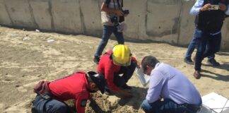 Resguarda Protección Civil de Coatzacoalcos 101 huevos de tortuga marina