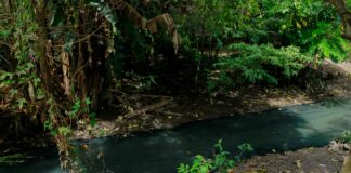 Trabaja municipio permanentemente en limpieza de canales de Minatitlán