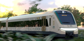 Juzgado acepta demanda contra ICA, Acciona y Grupo México, por daños ambientales en Tren Maya