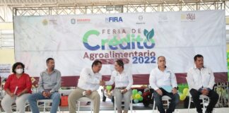Veracruz es la segunda mejor economía agropecuaria, productores obtienen créditos por 30 mil mdp