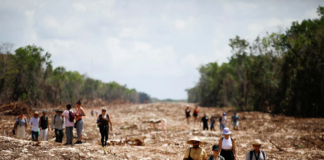 El Tren Maya tendrá otros 10 mil mdp para 2022; el gobierno sube su presupuesto del año a 73 mil mdp