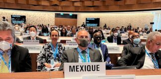 En la Asamblea de la OMS, López-Gatell culpa al neoliberalismo de aumentar los riesgos contra el COVID