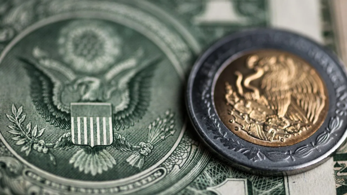 peso-moneda-dolar.jpg_478486366