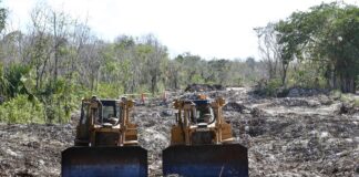 Revés al Tren Maya: juez ordena la suspensión definitiva de las obras en el polémico tramo 5