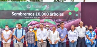 Ciudadanos sembrarán en Coatzacoalcos 10,000 árboles