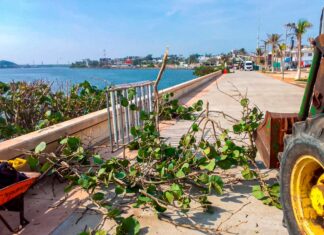 Autoridades de Coatzacoalcos embellecen áreas rumbo a la celebración de los 500 años