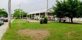 Continúan trabajos de Reforestación y Embellecimiento en Parques Municipales de Minatitlán