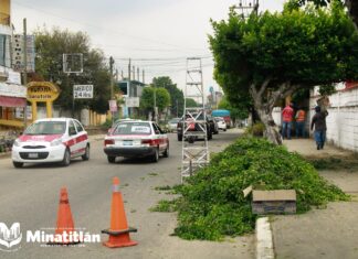 Ornatos Parques y Jardines de Minatitlán realiza poda de árboles en la calle Atenas