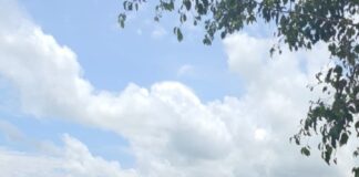 Repara Dirección de Agua de Minatitlán Fuga en el Campo Milán de Cosoleacaque