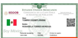 ¿Cómo obtener la CURP? Aquí el paso a paso