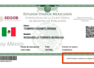 ¿Cómo obtener la CURP? Aquí el paso a paso