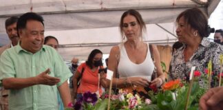 Inicia con gran aceptación mercado verde «De la Sierra a tu Mesa»