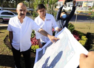 Inicia en Xalapa campaña de reforestación y arborización urbana 2022