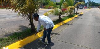 Ayuntamiento de Minatitlán continúa con el programa “pintado de guarniciones”