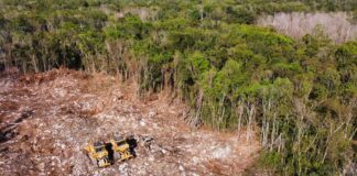 Busca Morena reforma para eliminar suspensiones a proyectos de la 4T