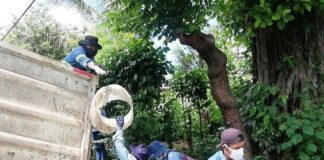 Eliminarán criaderos de moscos en ocho colonias de Córdoba para prevenir dengue