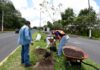 Ayuntamiento de Xalapa siembra más de mil 700 árboles en distintos puntos de la ciudad