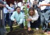 Arranca en Córdoba programa de reforestación permanente «Sembremos Vida»