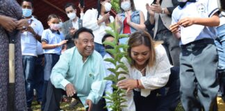 Arranca en Córdoba programa de reforestación permanente «Sembremos Vida»