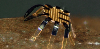 Crean un robot con forma de cangrejo para cirugías mínimamente invasivas