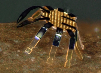 Crean un robot con forma de cangrejo para cirugías mínimamente invasivas