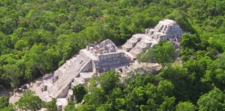 Estas son las nuevas Áreas Naturales Protegidas que habrá en el sureste de México