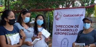 Suma Presidente Amado Cruz a amas de casa para instalar huertos de traspatio en Coatzacoalcos