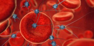 Unos nuevos minirobots revolucionan la administración precisa de fármacos