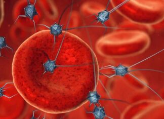 Unos nuevos minirobots revolucionan la administración precisa de fármacos