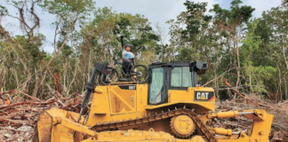 Inai ordena a Fonatur revelar contratos para la supervisión de obra de los siete tramos del Tren Maya