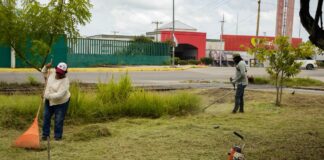 Continúa Ayuntamiento de Minatitlán la jornada de embellecimiento